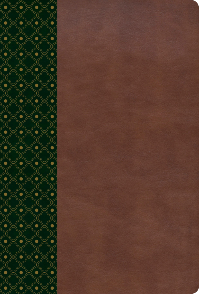 RVR 1960 Biblia de Estudio Scofield, verde oscuro/castaño símil piel