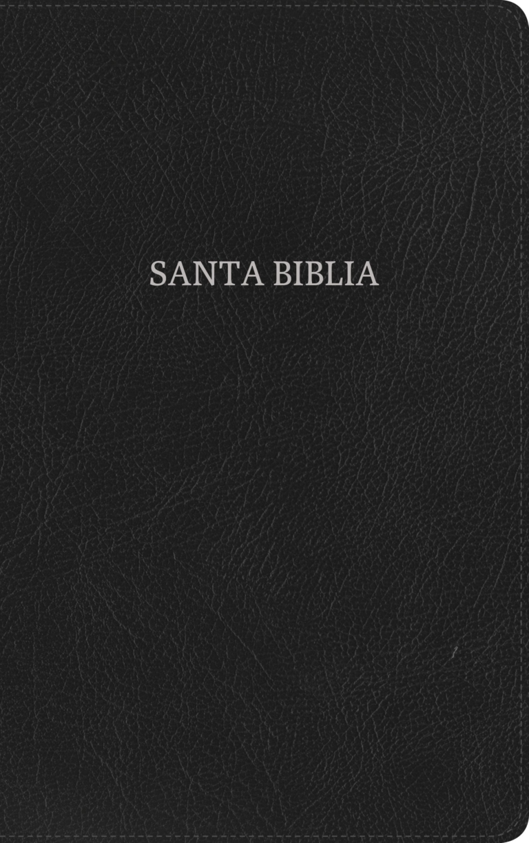 RVR 1960 Biblia Ultrafina, negro piel fabricada