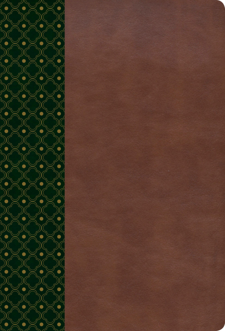RVR 1960 Biblia de Estudio Scofield, verde oscuro/castaño símil piel con índice
