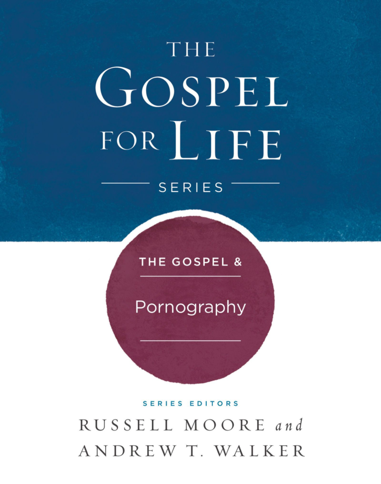 The Gospel & Pornography, eBook
