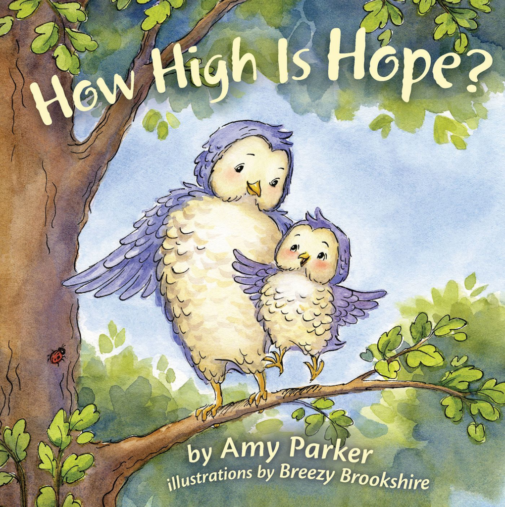 How High Is Hope?, eBook