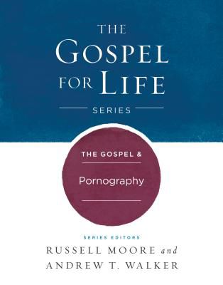 The Gospel & Pornography