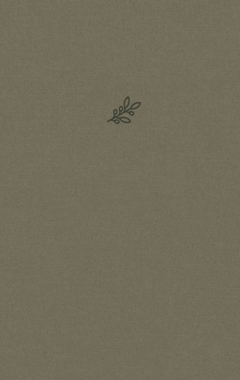 NVI Biblia del lector