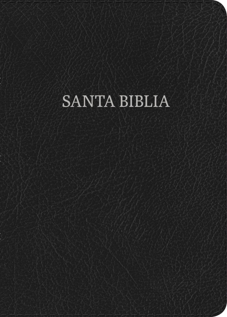 RVR 1960 Biblia Letra Grande Tamaño Manual, negro piel fabricada