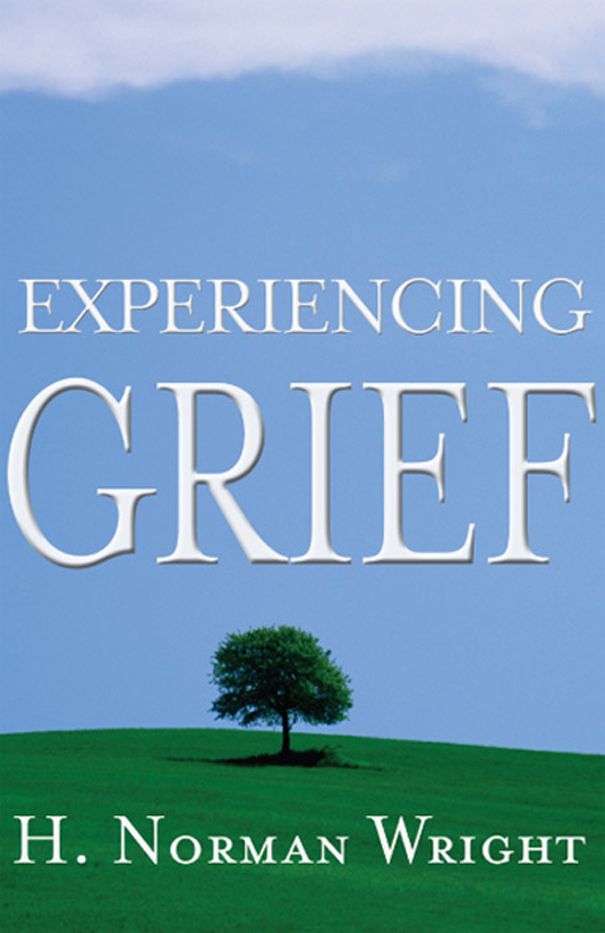 Experiencing Grief, eBook