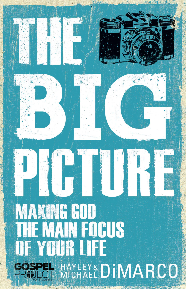 The Big Picture, eBook