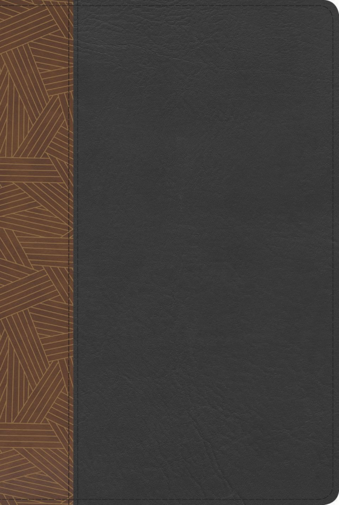 RVR 1960 Biblia de Estudio Arcoiris, tostado/negro símil piel