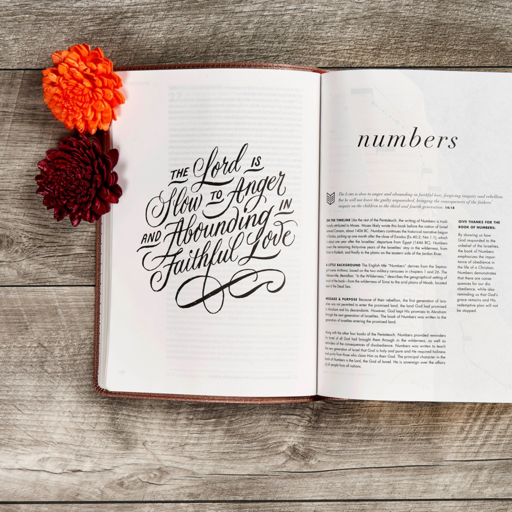 CSB She Reads Truth Bible, Rose Gold LeatherTouch B&H Publishing