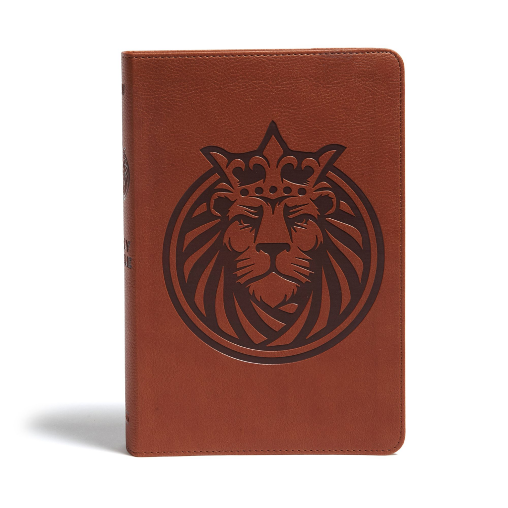 KJV Kids Bible, Lion LeatherTouch