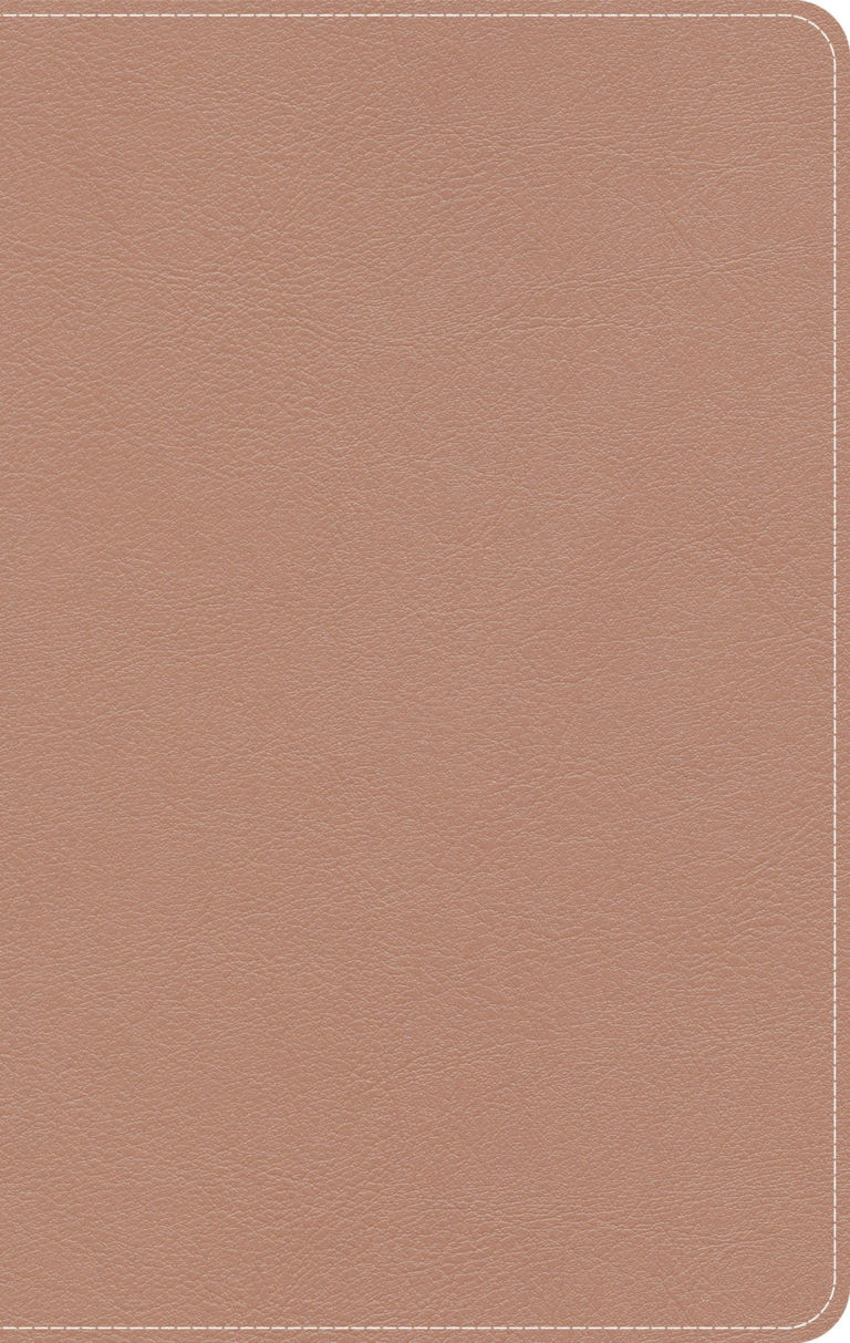 KJV On-The-Go Bible, Personal Size, Rose Gold LeatherTouch