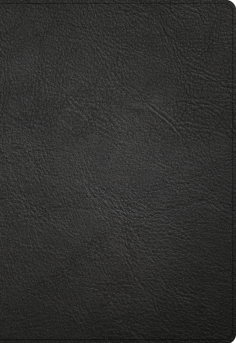 NASB Super Giant Print Reference Bible, Black Genuine Leather