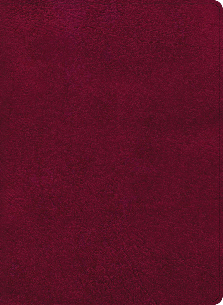 CSB Holy Land Illustrated Bible, Burgundy LeatherTouch, Indexed