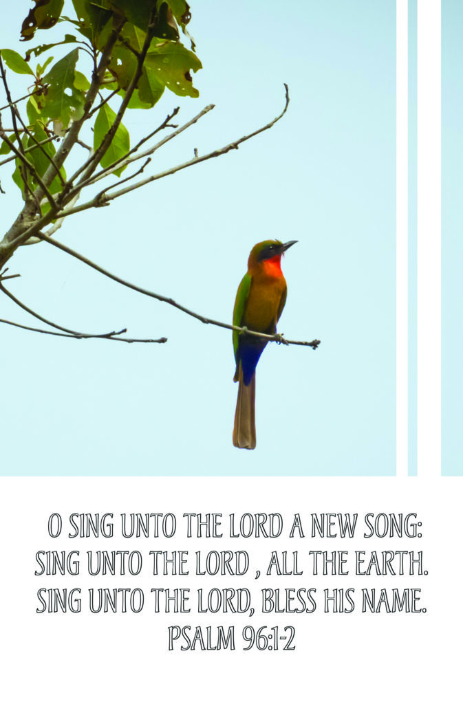 Sing Unto The Lord  Bulletin (Pkg 100) General Worship