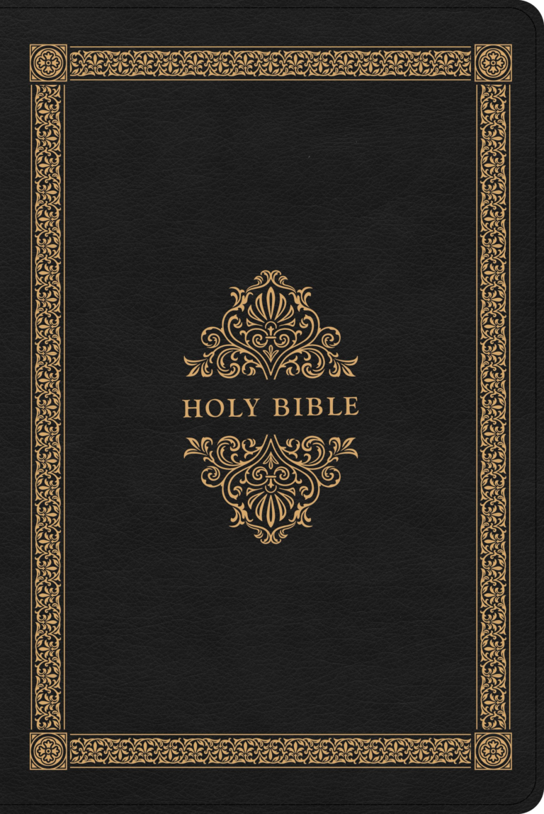 CSB Adorned Bible