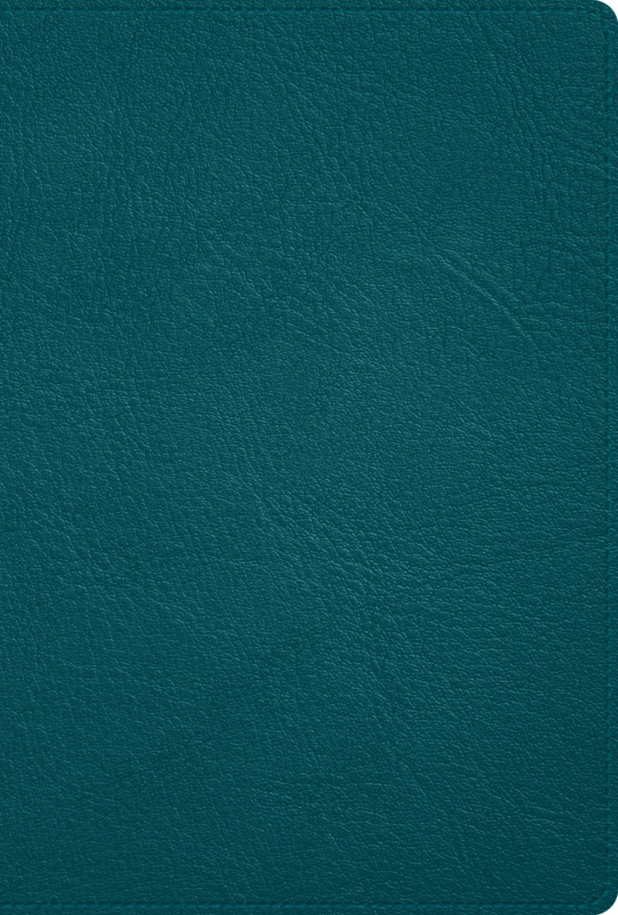 RVR 1960 Biblia Deluxe verde turquesa, piel genuina
