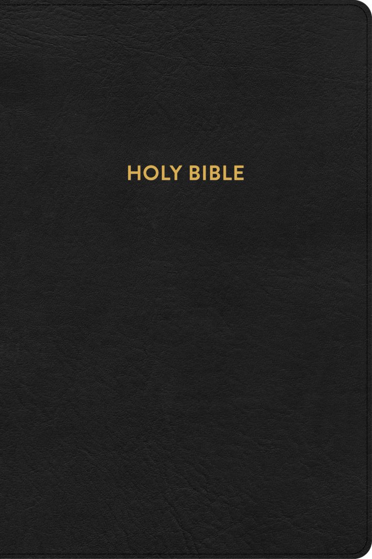 KJV Rainbow Study Bible, Black LeatherTouch