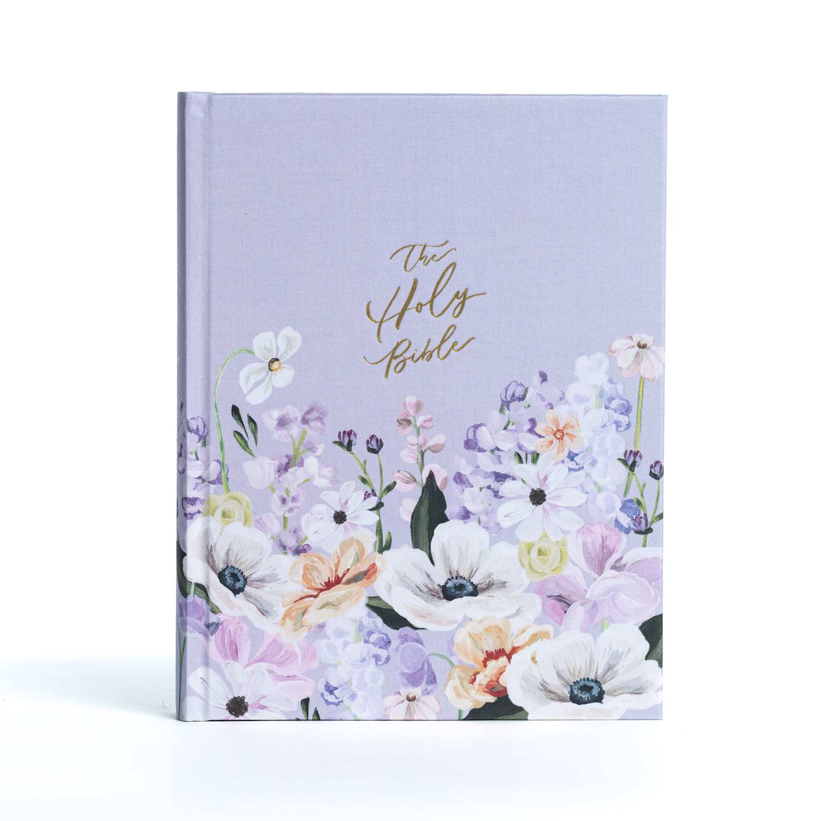 ビンテージ　HOLY BIBLE 聖書　2冊セット ビンテージ HOLY BIBLE 聖書 2冊セット ビンテージ HOLY BIBLE