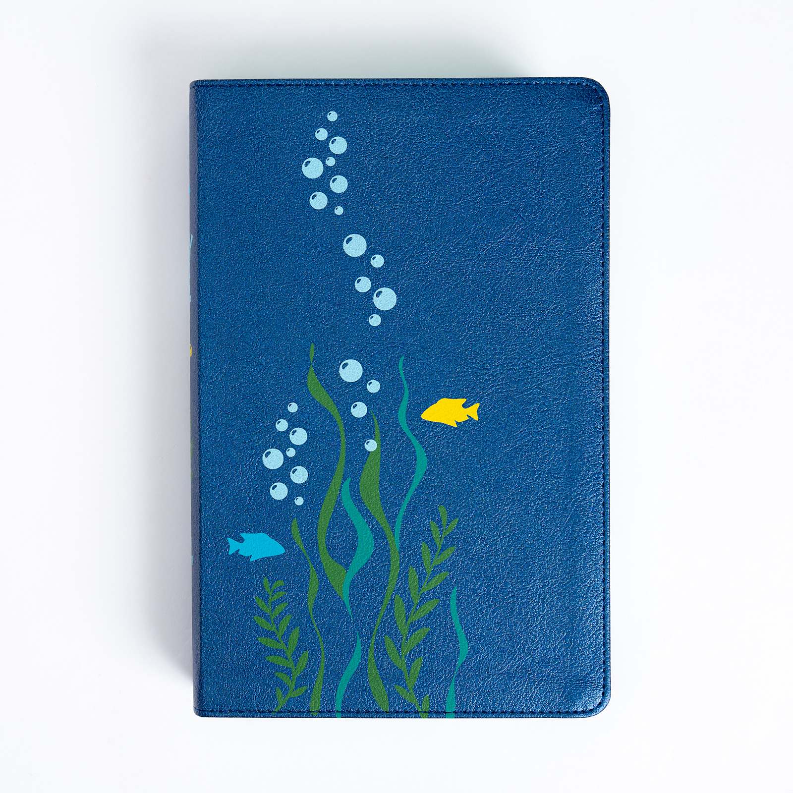 KJV Easy-for-Me Bible for Early Readers, Deep Blue LeatherTouch